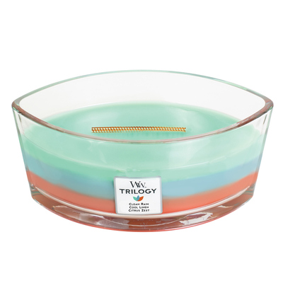 WoodWick木芯白噪音香薰蜡烛礼品