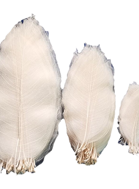diy叶脉干花电视背景墙玉兰叶