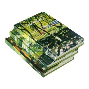 拾杂原创「意外之喜」精装硬壳笔记本B6手账本空白插画内页日记本