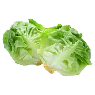 100种开春季春蔬菜子茄套餐丝瓜黄瓜辣椒HICREAT豆角蔬玉种米子农