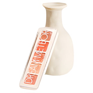 红蜻蜓水桶包女高级感流行单肩斜挎包链条小包线下专柜商场同款