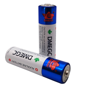 DMEGC大容量5号电池指纹锁专用电池玩具智能锁酒店锁五号碱性12节