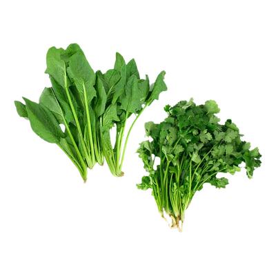 燎原蔬菜叶菜组合菠菜香菜组合