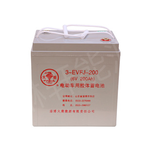 火炬3EVF200/4EVF150/6EVF80/6EVF120旅游观光车铅酸胶体蓄电池