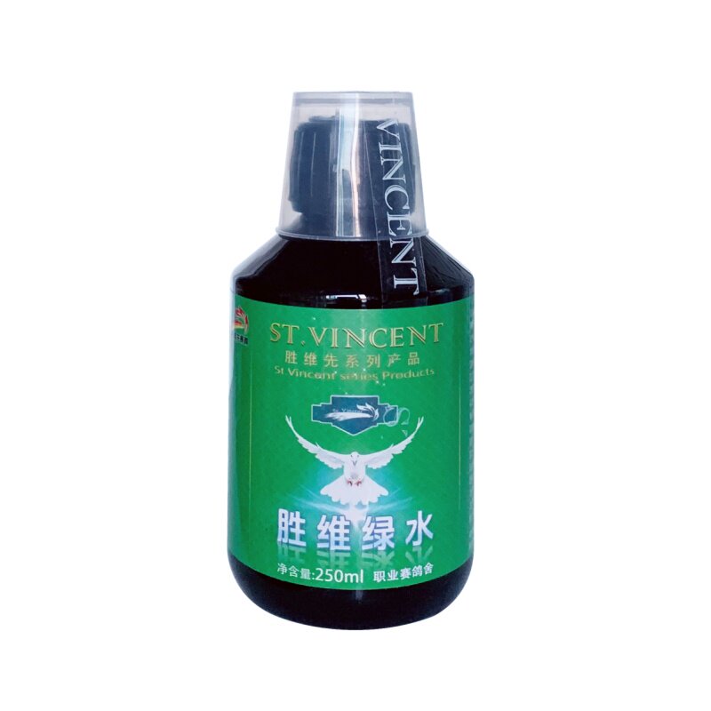鸽子胜维先绿色精绿水去火防暑鸟