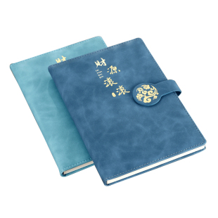 记账本手帐明细账家庭往来理财笔记本现金日记帐本子店铺进出货记录务商用每日流水收支家用个人收入支出账本