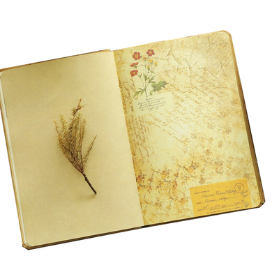 a5欧式复古唯美插画牛皮纸手账本