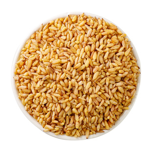 柏子仁中药材500g正品官方旗舰店中药野生茸子柏仔仁泡茶粉炒功效