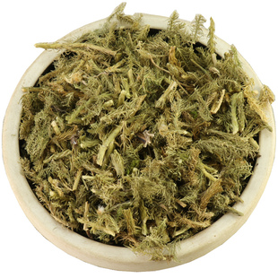 【经方集】伸筋草中药材松筋草打伸筋草粉野生色绿100/250g/500克