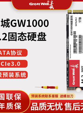 M2接口SATA协议固态硬盘高速1TSSD台式机笔记本电脑GW1000