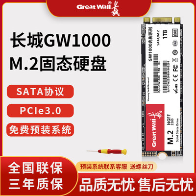 M2接口SATA协议固态硬盘高速1TSSD台式机笔记本电脑GW1000
