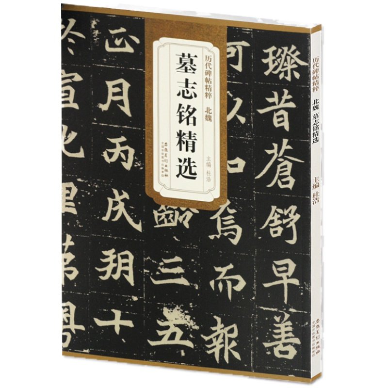 历代碑帖精粹 北魏 墓志铭精选 杜浩主编 第一辑碑帖楷书毛笔书法练字帖 简体旁注墓志铭李壁墓志铭美人董氏墓志铭 安徽美术出版社