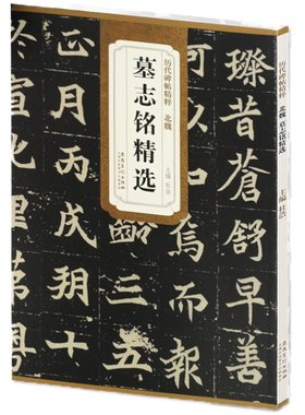 历代碑帖精粹北魏墓志铭精选