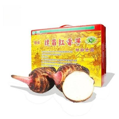 金坛正宗建昌红香芋新鲜现挖软糯