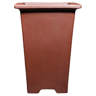 宽口四方签筒精品紫砂小兰花盆景盆栽绿云翠盖荷