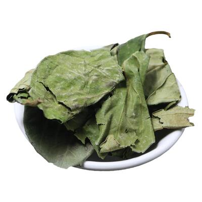 一斤柿子叶霜后柿子叶搭配凡士林