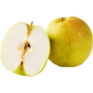 山西玉露香梨现摘现发一级大果礼盒装酥梨化渣孕妇水果雨露梨子包