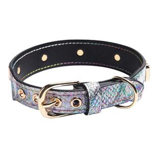 嘿宠荟宠物项圈轻奢宽版狗狗项圈宝石贝林顿惠比特猫通用牵引绳