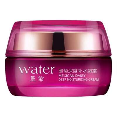 泊泉雅墨菊巨补水面霜