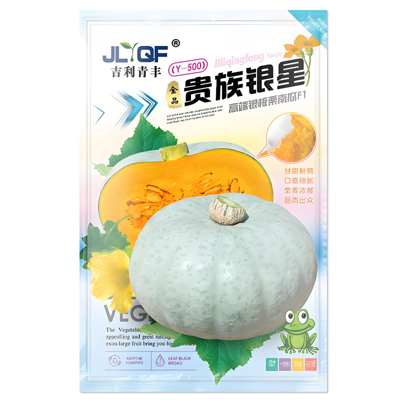 贵族银星银板栗南瓜种子