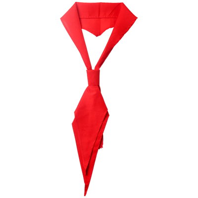 【妙笔】小学生通用红领巾手系款10条