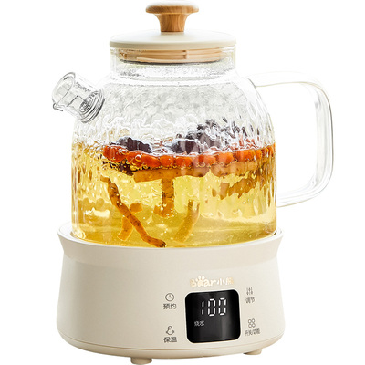 小熊养生壶全玻璃家用多功能