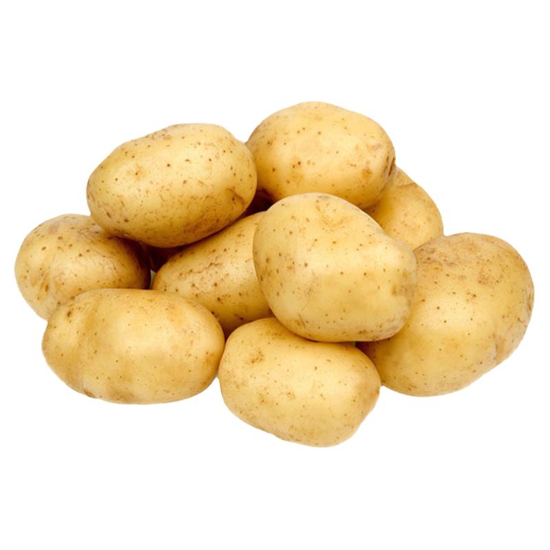 山东滕州荷兰土豆种子有芽脱毒
