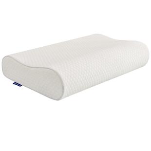 雷沃丝睡眠枕头护颈椎助睡眠高端家用睡觉专用抑菌防螨记忆棉枕头