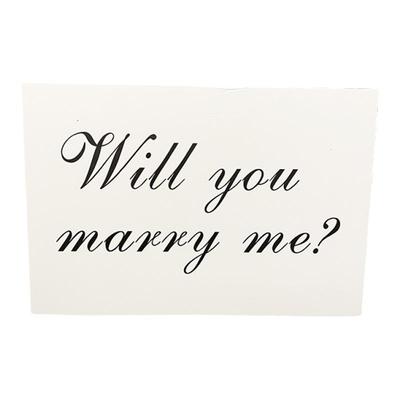 willyoumarryme求婚KT板