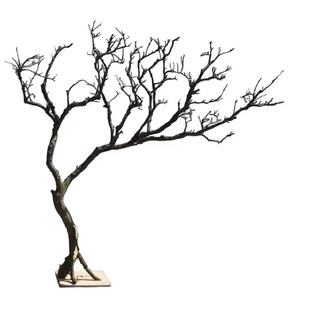 去皮干树枝造景干枝树干许愿树枯树室内造型树枝干原木树枝装饰树