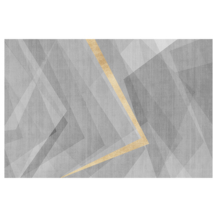 入户门地垫可裁剪2025新款垫子客厅门口地毯门垫进门玄关脚垫家用