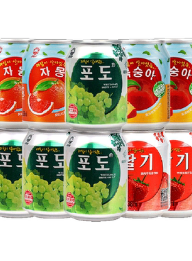 九日多口味果粒果汁饮料