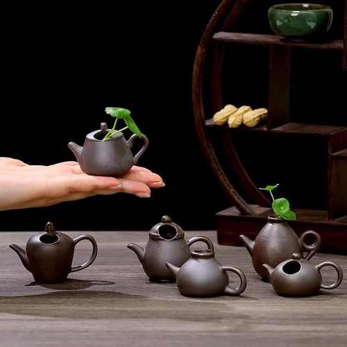 创意迷你陶瓷水养小花器小茶壶个性摆件茶桌个性插花铜钱草装饰品