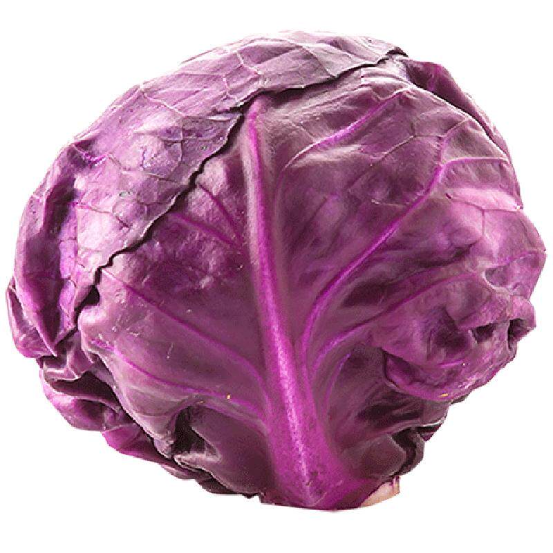 新鲜包菜生菜蔬菜紫甘蓝