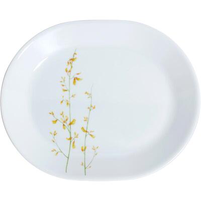 专柜进口康宁餐具耐热玻璃盘子