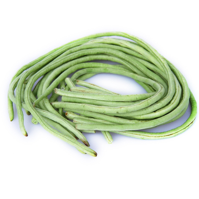 必丰春秋摘不净长豆角架亩产万斤