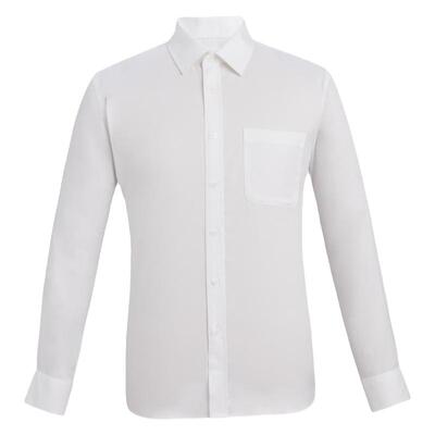 【全棉免烫抗皱】天坛男衬衫长袖商务正装职业加大码高级感衬衣