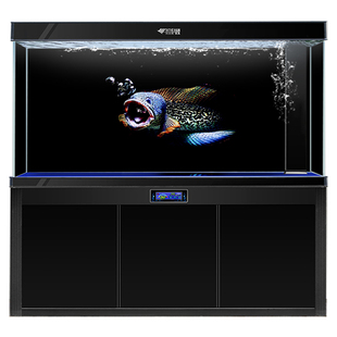 鱼缸背景纸画雷龙鱼贴纸高清图定制亚马逊大型鱼装饰水族箱造景图