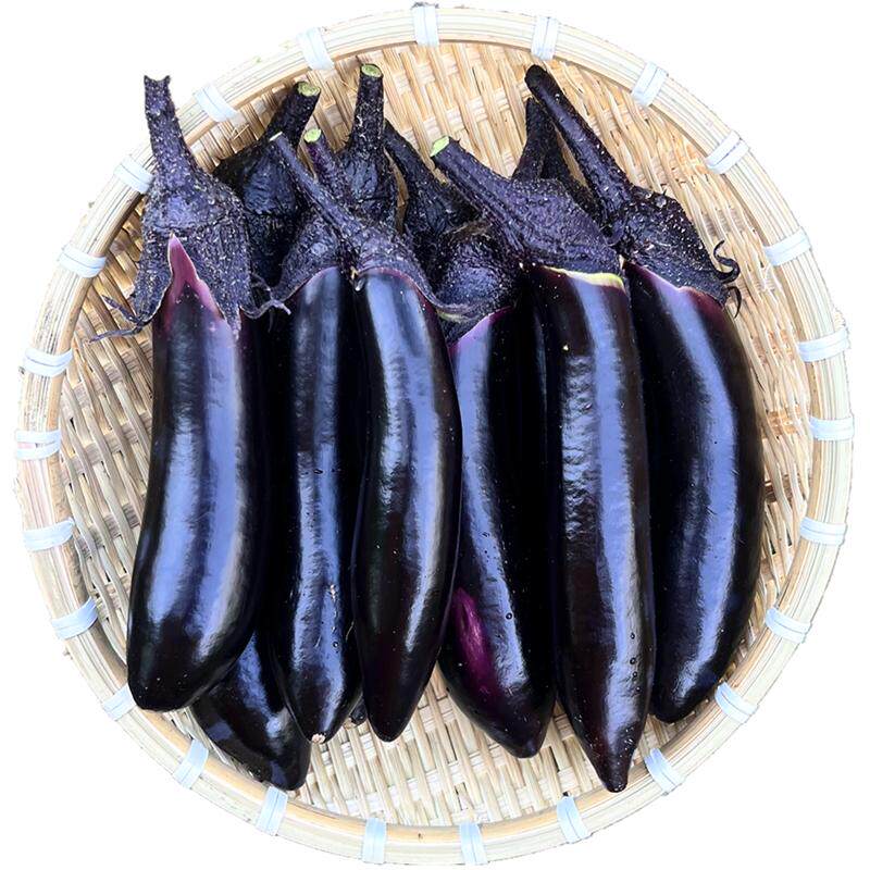 黑龙江农家现摘薄皮紫茄子5斤