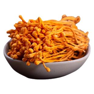 虫草花干货虫金北虫草花新鲜食材大孢子头金菇菌煲汤料菌菇类500g