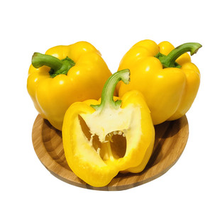 彩椒蔬菜甜椒种籽五彩甜椒种子四季春方椒灯笼椒苗蔬菜孑禾之元