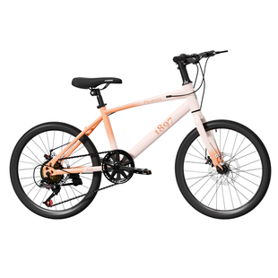 凤凰儿童自行车6到12岁女孩8到15岁青少年变速2025新款山地车