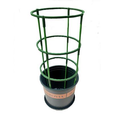 新款蟹爪兰支架多双层园艺藤花架