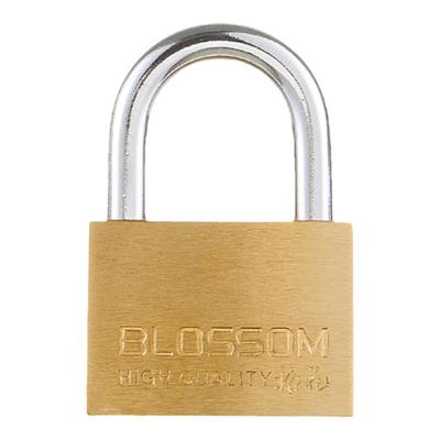 BLOSSOMLOCK/梅花锁可通开铜锁