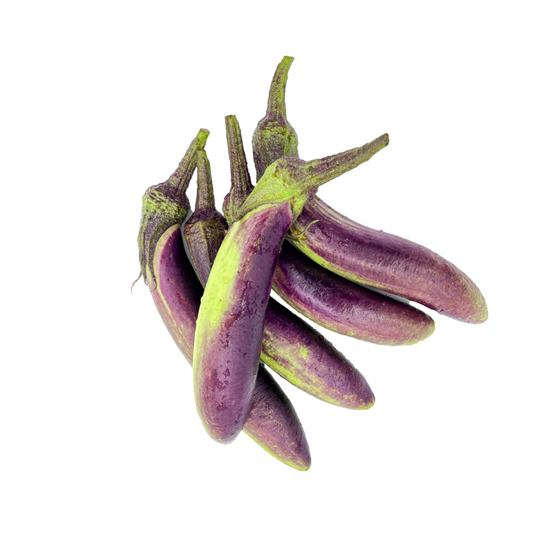 茄子新鲜贵州本地土茄子农家自种新鲜青绿茄子长紫茄子蔬菜微苦