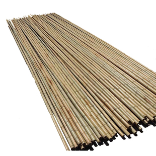 竹竿菜园搭架蔬菜豆角黄瓜爬藤架防腐细竹竿小竹子篱笆栅栏彩旗杆