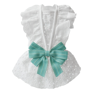 狗狗衣服夏季薄款裙子公主蕾丝约克夏小型犬猫咪泰迪比熊宠物衣服