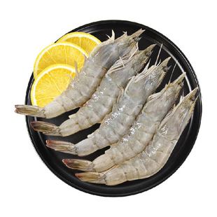 渔传播【活虾速冻】厄瓜多尔盐冻白虾冷冻海虾聚餐烧烤顺丰次日达