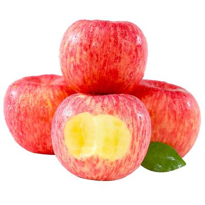 霜降洛川苹果陕西正宗产地直发