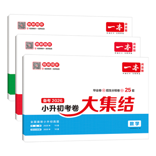 当当网】2026新一本小升初考卷大集结语文数学英语小学四五六年级升初中小考复习模拟冲刺新卷小学升初中知识大盘点名校冲刺方案